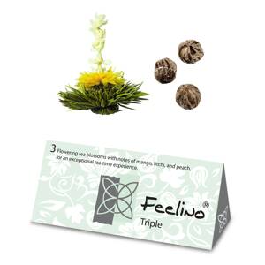 Feelino Teavirág, 6 különböző fajta, egyenként csomagolva, nagyon produktív